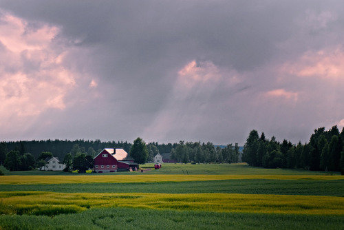 tumblr_lekulfaWSb1qavtnso1_500.jpg