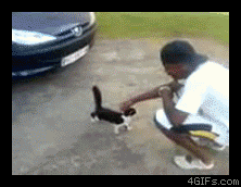 tumblr_lewa23WxC01qc69mio1_250.gif