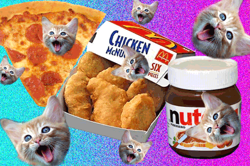 tumblr_lf9b2eohgR1qdjbbio1_500.gif