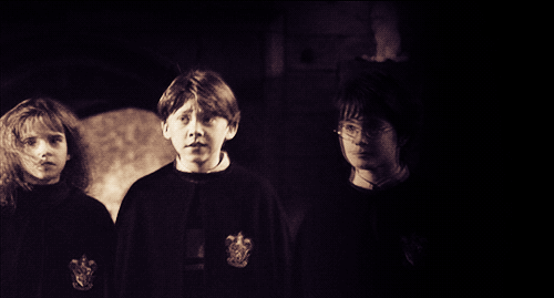 tumblr_lfg3n0VSJr1qdwo4to1_500.gif