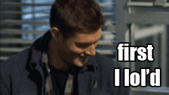 tumblr_lfivb8ew7t1qa733ko1_250.gif