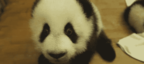 tumblr_lfk5iiceDB1qf593s.gif