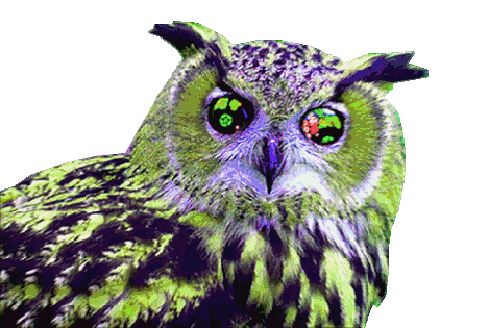 tumblr_ln3zkiJ63B1qb5fado1_500.gif