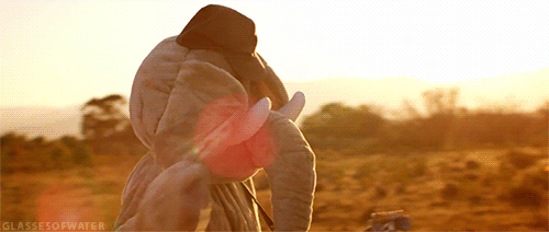 tumblr_ltas607vp11qek343o1_r1_500.gif
