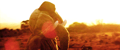 tumblr_ltcn17AZvV1qe18lao1_250.gif