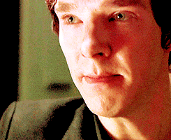 tumblr_lvjk51IfUJ1qcvxceo1_250.gif