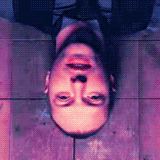 tumblr_lwc2y3NHFz1qm6yozo3_250.gif