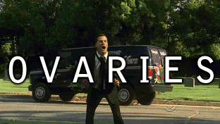 tumblr_lwgt28ZuJt1qllhu3.gif