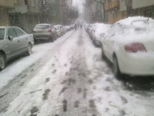 tumblr_lynn757oM51qirximo1_500.jpg