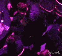 tumblr_m096rxWJTj1qdwjvbo3_250.gif