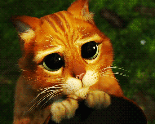 tumblr_m18hf0paxd1qcga5ro1_500.gif