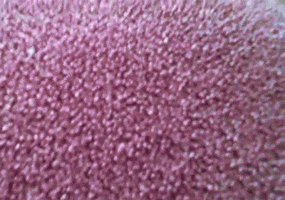 tumblr_m1o0wgUdsF1rqfhi2o1_400.gif