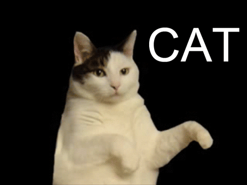 tumblr_m50m9jZ60m1rusea3o1_500.gif
