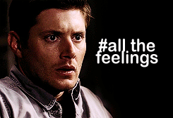 tumblr_m6vdy9HYwQ1r3zat8.gif