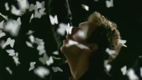 tumblr_m8zhowxGRn1rbb7jro1_500.gif