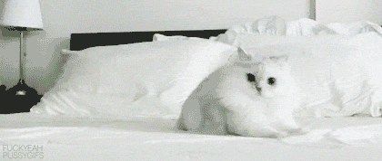 tumblr_m9me9bfJyg1qfbhp5.gif