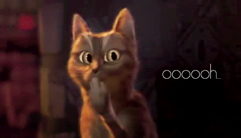 tumblr_mb0lntYk9N1r3a4i5o1_500.gif