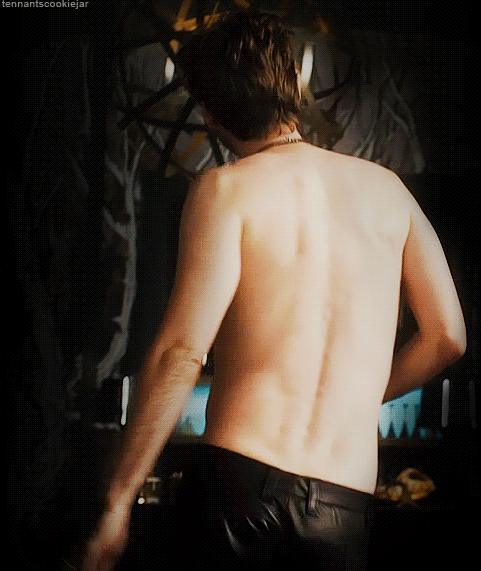 tumblr_mbzrrfgcZ61rv23meo1_500.gif