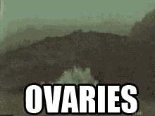 tumblr_mdw78u6uny1qcaz6d.gif