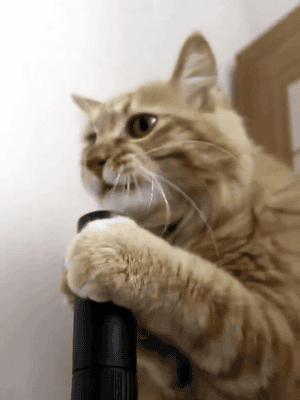 tumblr_mmqkh0uORQ1s0a3s3o1_400.gif