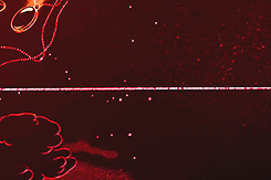 tumblr_msq10yf75Y1rrxi6eo6_250.gif