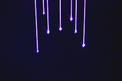 tumblr_msq10yf75Y1rrxi6eo8_250.gif