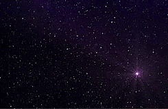 tumblr_msq3m4IfX41r8lycgo3_250.gif