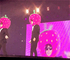 tumblr_mvasrrf2wT1qeb7ozo3_250.gif