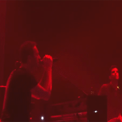 tumblr_my56sseTev1ryddudo5_250.gif