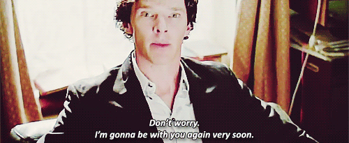 tumblr_mybemzS0gr1qmlh0eo1_500.gif