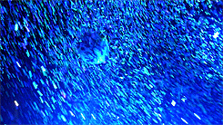 tumblr_n2t93gIZq71qd03kzo7_250.gif