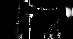 tumblr_n3o3h7fuEz1rtwmxqo7_250.gif