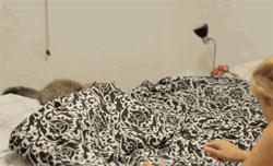 tumblr_n5ftlhMetk1qewacoo1_r1_250.gif