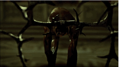 tumblr_npyt23g6Ir1tbi74eo1_400.gif