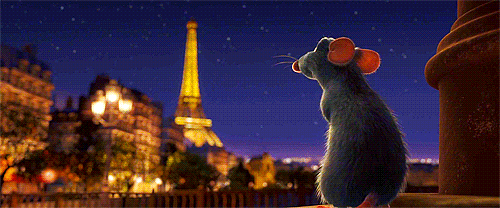 tumblr_nrpc1vTITy1ub0p27o1_500.gif