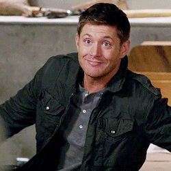 tumblr_o5hh17nPgF1tch284o1_250.gif