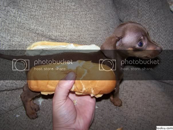 untitled.jpg