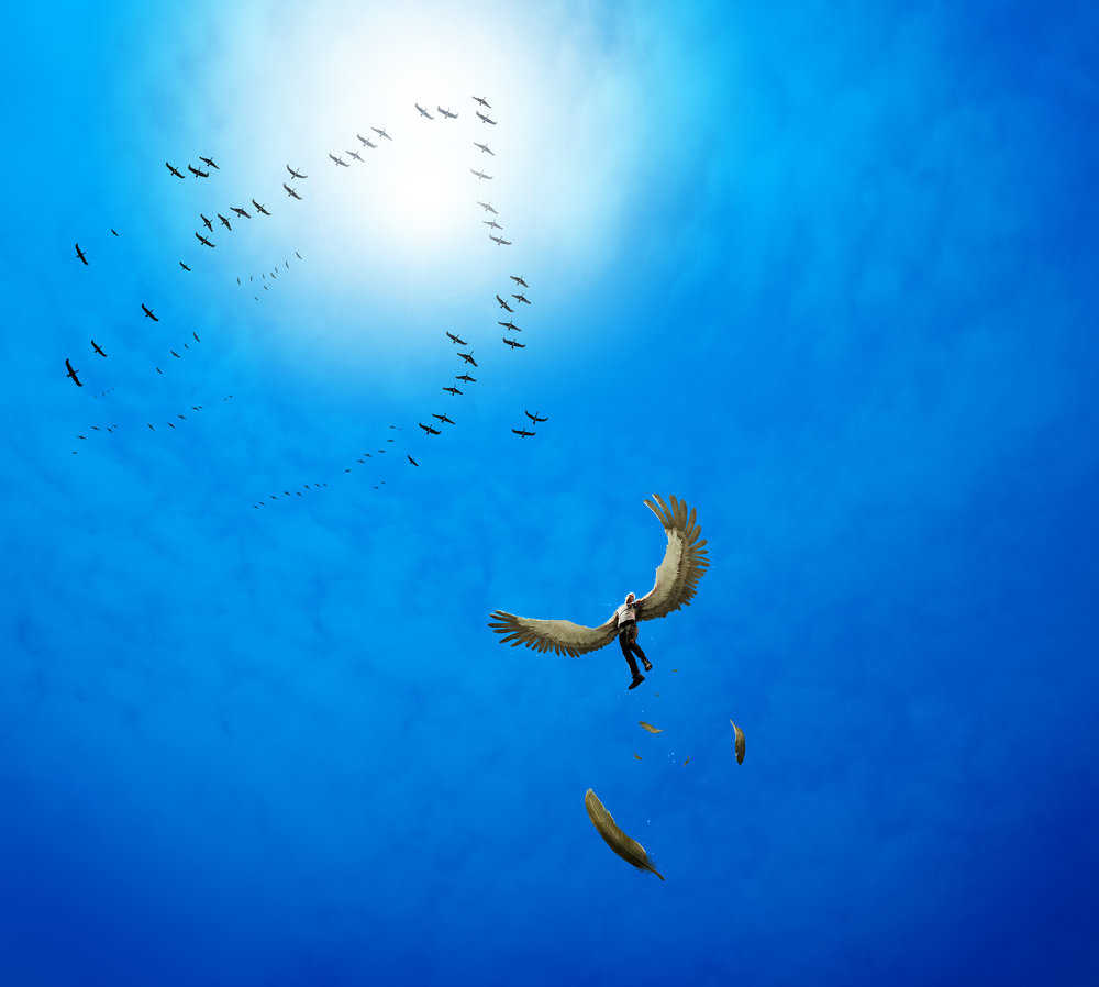 up_with_the_birds_by_janduny-d4d8pbq.jpg