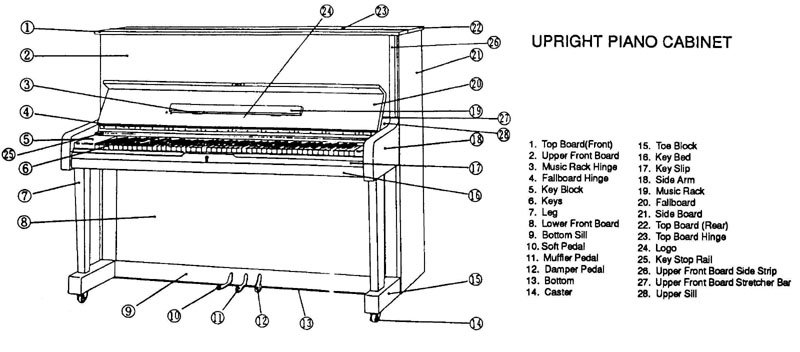 upright.jpg