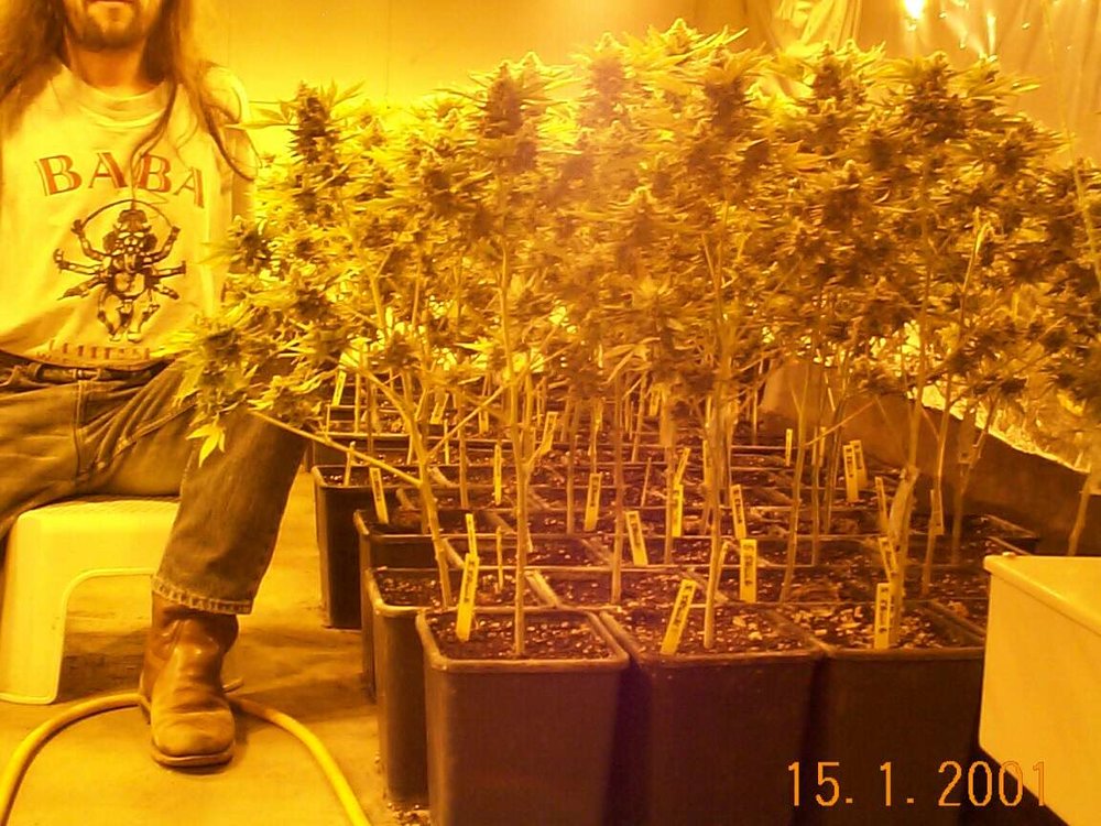 weed.BaBa.jpg