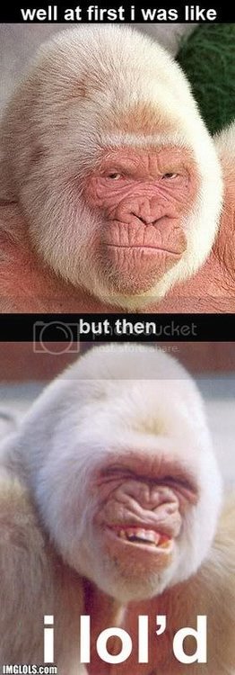well-at-first-i-was-like.jpg