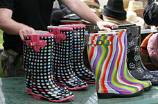 welliesG2006_228x151.jpg