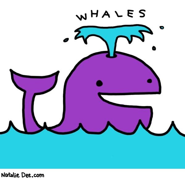 whales.jpg