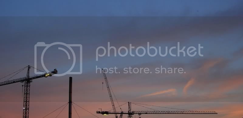 wherecranescollectthesky1.jpg