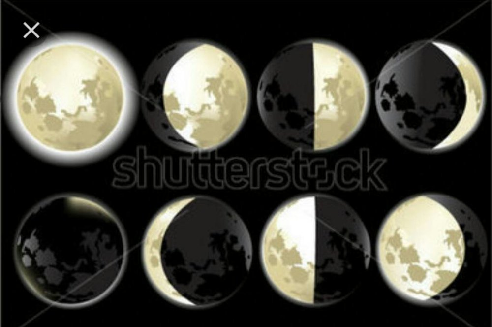 1486916409824.thumb.jpg.a6eb45de82b74f9b485fb99c7e973000.jpg
