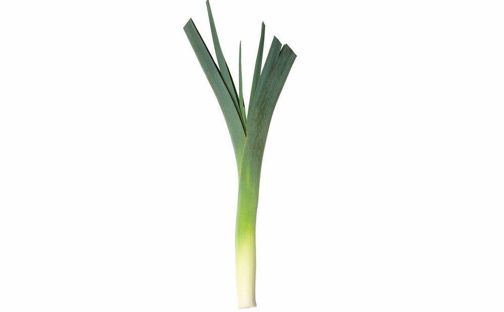 croppedleekcropped2.thumb.jpg.066a26446db8adbd1e7d5121324fd948.jpg