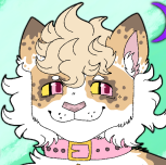 Drakton Aussiecat